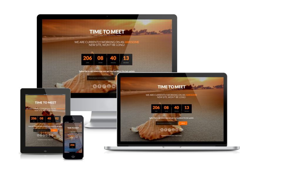 Hire WordPress Developers